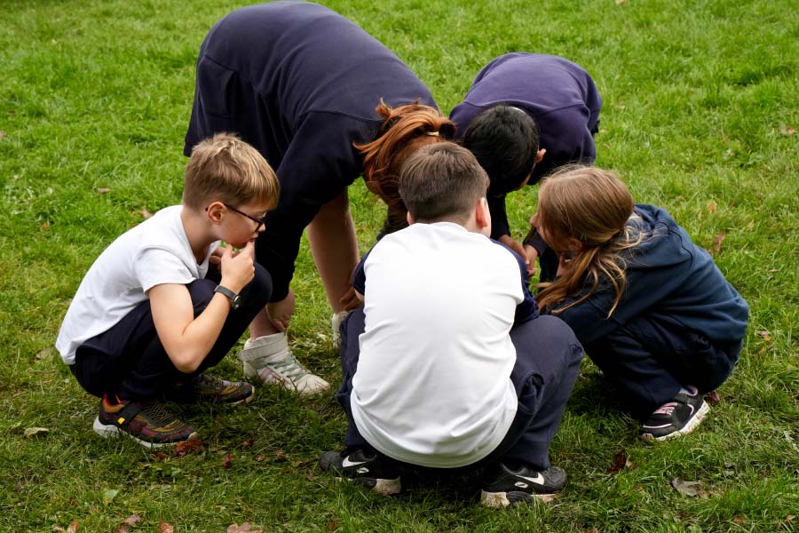 School Gallery image 5